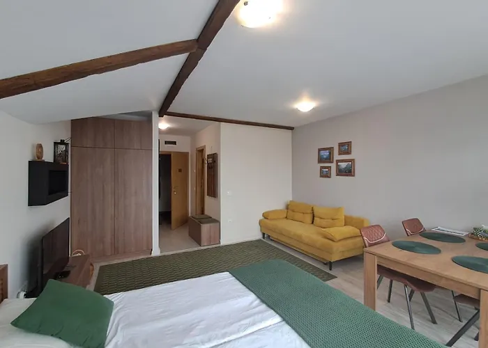 Large Studio With View In Borovets Gardens